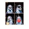 Delfine Delfin