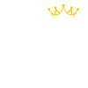 N Monogramm mit Krone