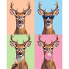 Rehe Reh