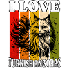 I Love Turkish Angora
