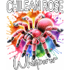 Chile Vogelspinne Flüsterer