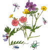 Blumenwiese