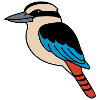 Kookaburra - Lachender Hans