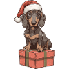 Christmas Dachshund Gift