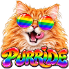 Regenbogen Pride Katze
