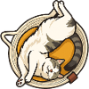 Katze