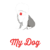 Englischer Schäferhund