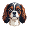 King Charles Spaniel Hundekopf
