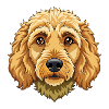 Goldendoodle-Hundekopf