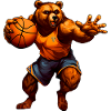 Basketball Bär