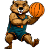 Biber Basketball