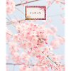 Japanische Sakura