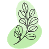 Botanische Eukalyptusblattlinie in Pastell