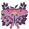 Pink Moon Moth im Blumenrahmen