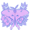Pastell-Mond-Motte und Hibiskus-Floral