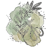 Olivenbaum Experte