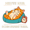 Heute Nur Schnurrbetrieb Katze