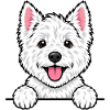 Westie West Highland White Terrier
