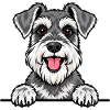 Zwergschnauzer