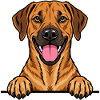 Rhodesian Ridgeback