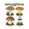 Mushroom Field Research