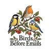 Birds Before Emails