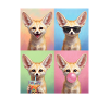 Wüstenfuchs Fennek