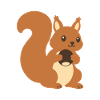 Eichhörnchen Haselnuss Illustration Geschenkidee
