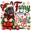🎁 Weihnachten Französischer Bulldogge