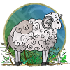 Widder