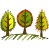 Baum