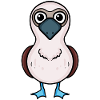Blaufußtölpel Vogel Meeresvogel