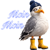 Moin Moin Möwe