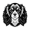 King Charles Spaniel Hundekopf