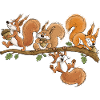 Lustige Eichhörnchen Eichel Wald Tierhumor
