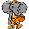 Basketball Elefant