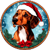 Dackel Weihnachten