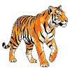 Poly Stil Tiger