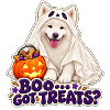 Geisterwelpe Boo Leckerlis