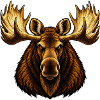 Der Elchbulle