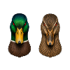 Stockenten