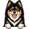 Finnischer Lapphund