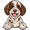 Lagotto Romagnolo