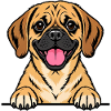 Puggle