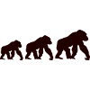 Affen Trio Silhouette