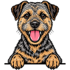 Border Terrier