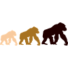 Dreier Gorillas Silhouetten