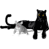 Schwarzer Panther & Grauer Maus