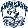 Ammersee Wingfoil Club Logo