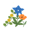 Blumen botanisch Natur Design